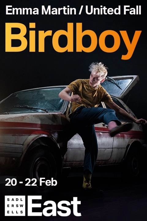 Birdboy Image