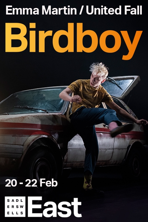 Birdboy Poster