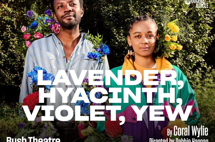 Lavender, Hyacinth, Violet, Yew Media Photo