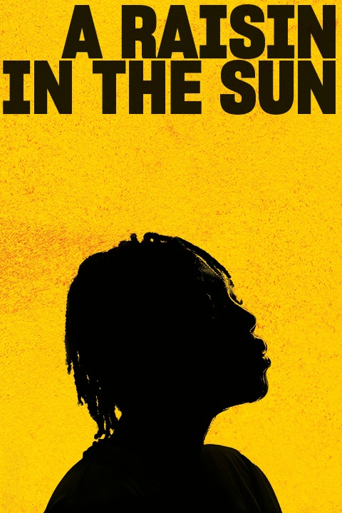 Raisin in the Sun Poster