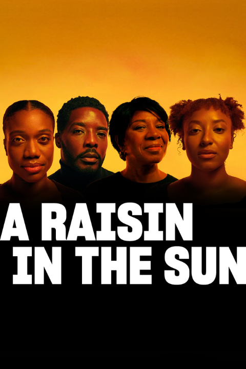 A Raisin in the Sun Image