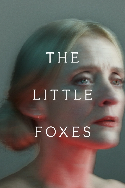 The Little Foxes Image