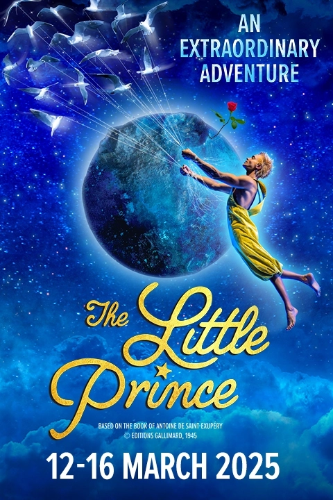 The Little Prince Image