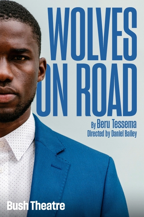 Wolves On Road Image
